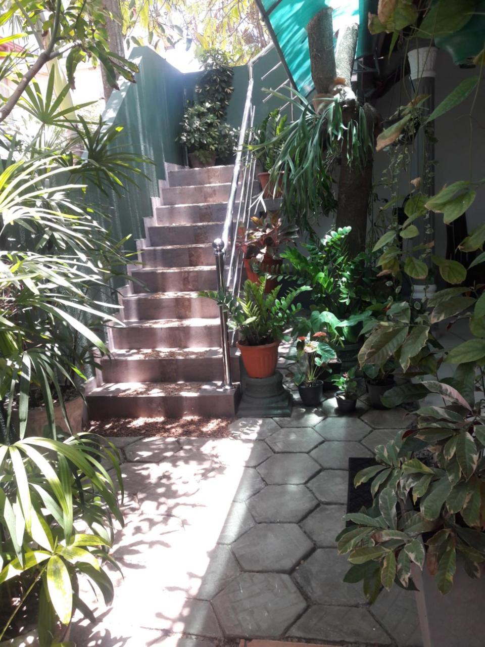 Hotel Aayu'S Guest Bentota Exterior foto